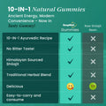 Himalayan Shilajit Gummies – 60 Gummies | 3000mg RHE per Serving | Herbal Wellness Blend with Natural Cherry Flavor